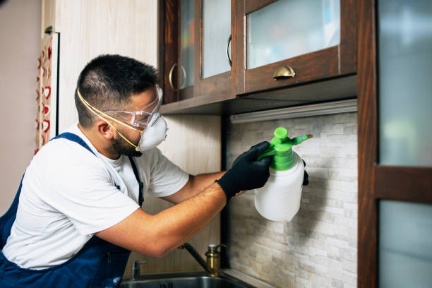 Best Termite Control Services  in Cottonwood, ID