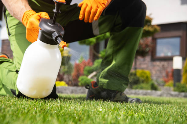 Best Wasp Removal Services  in Cottonwood, ID