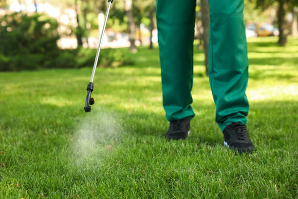 Best Emergency Pest Control  in Cottonwood, ID