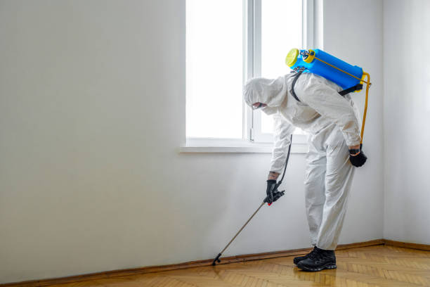 Best Flea Control Services  in Cottonwood, ID