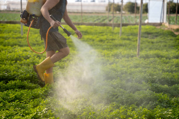 Pest Prevention Services in Cottonwood, ID
