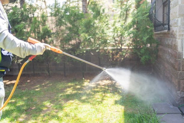 Best Mosquito Control Services  in Cottonwood, ID