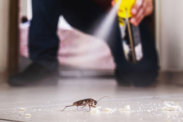 Best Pest Removal Services  in Cottonwood, ID