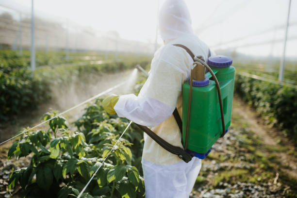 Best Affordable Pest Control Services  in Cottonwood, ID